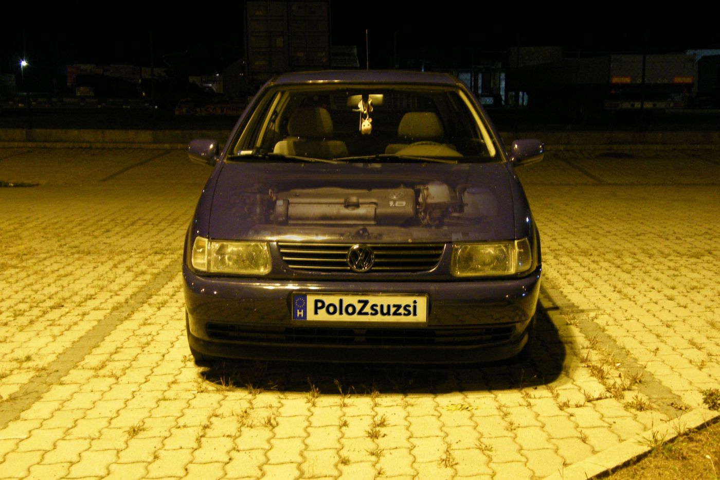 Volkswagen Polo 6N